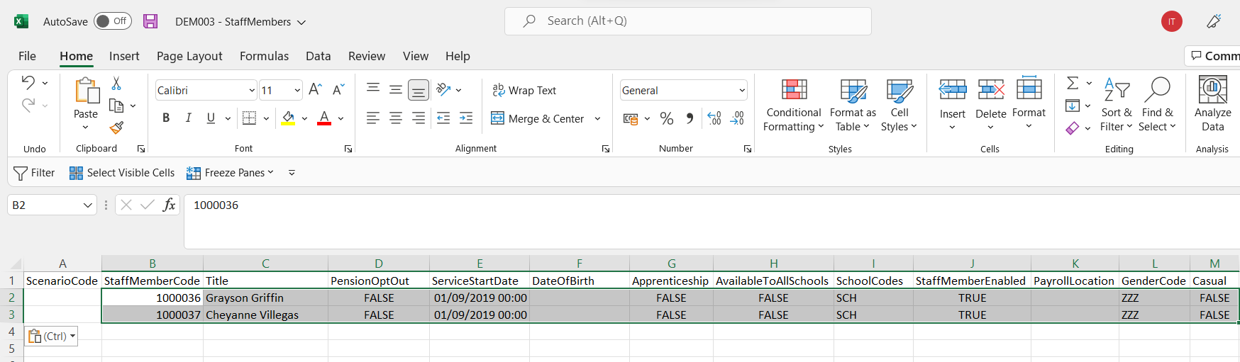Screenshot showing an Excel file with edits made to the permitted fields and new rows added.